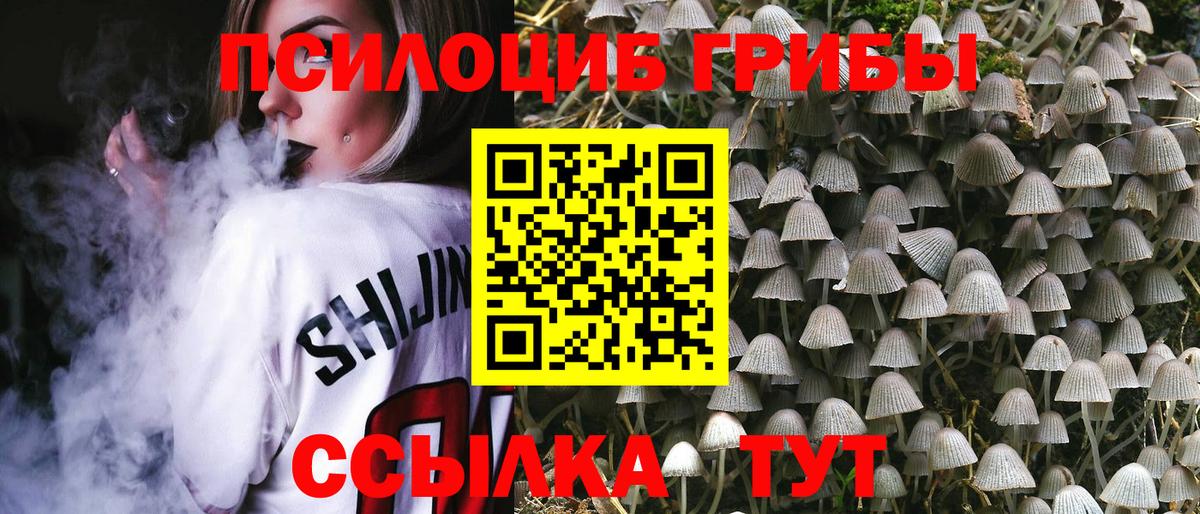 Галлюциногенные грибы мухоморы Острогожск