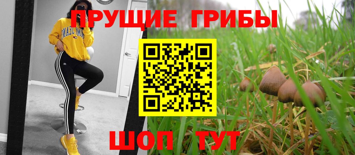 Острогожск  Псилоцибиновые грибы GOLDEN TEACHER  Вход с VPN 